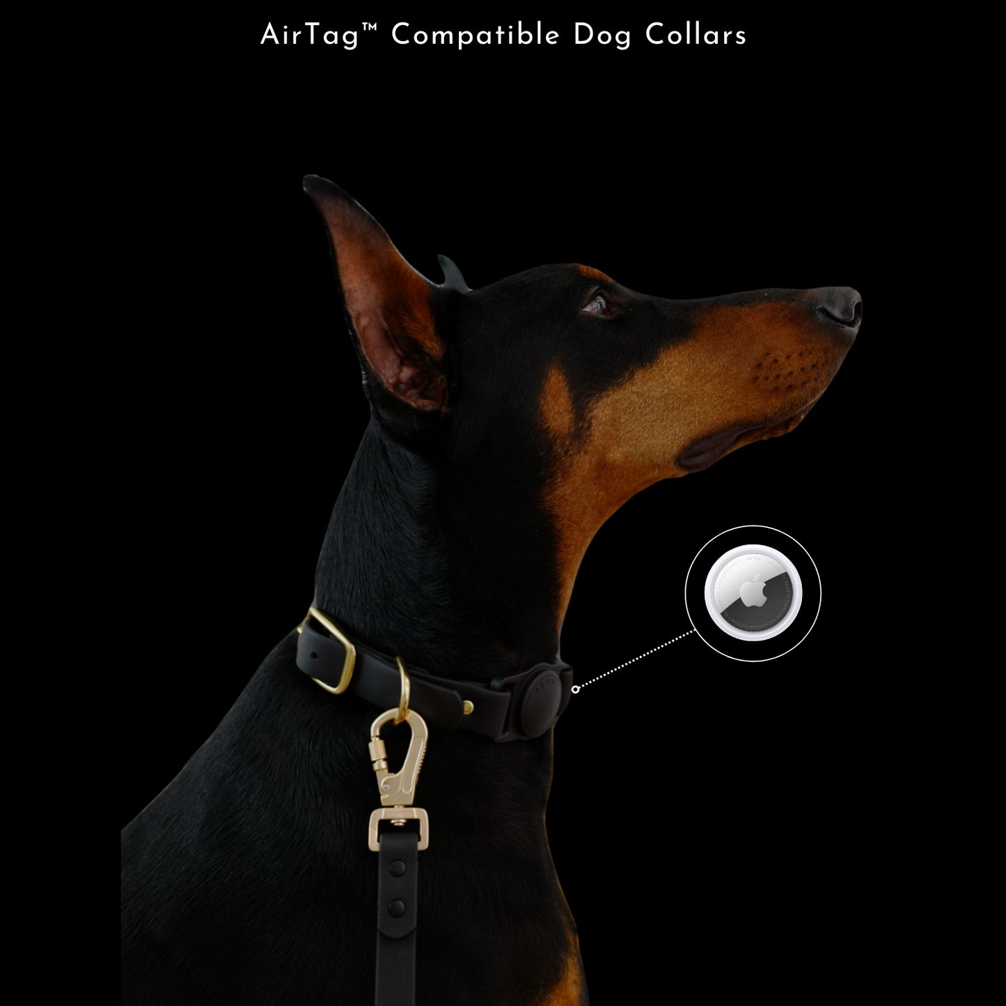 The Bronx Collar